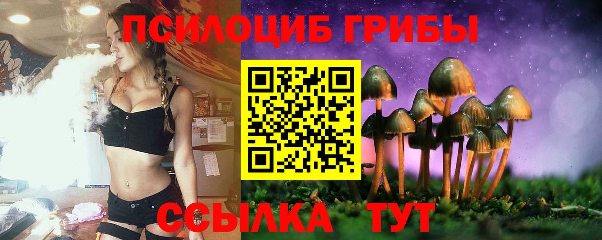 Псилоцибиновые грибы прущие грибы Рыбинск